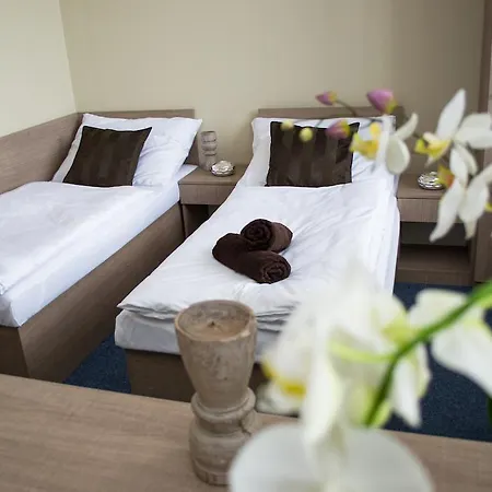 Guest house S Wellness Uherske Hradiste