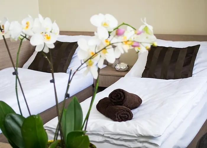 Gasthuis S Wellness